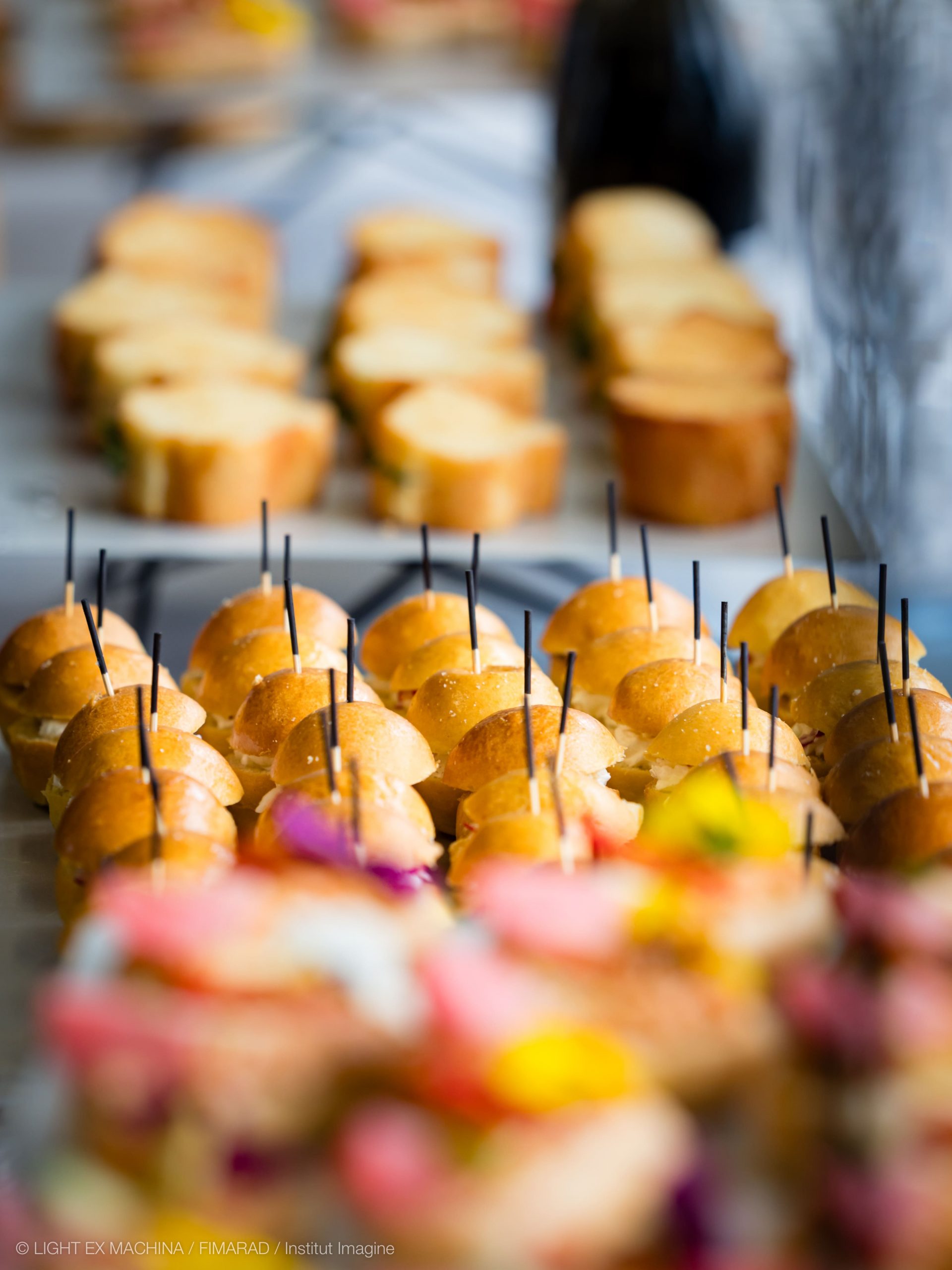 Journee_FIMARAD_2025 (32)