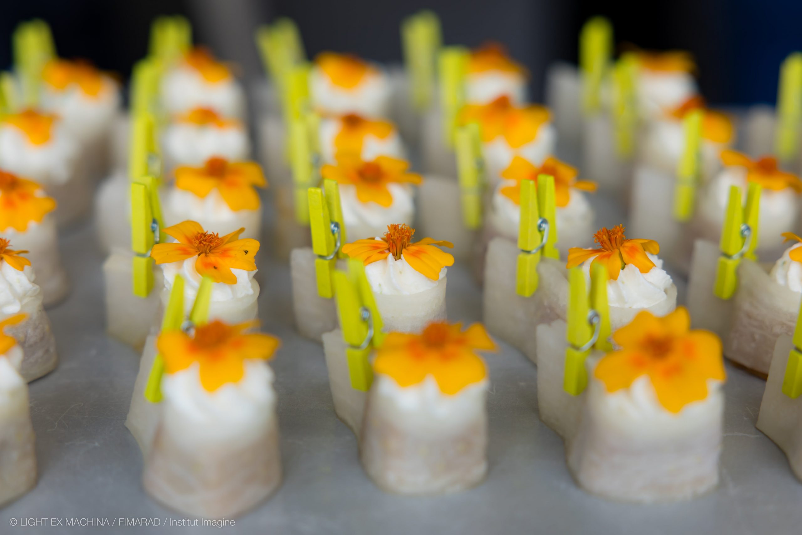 Journee_FIMARAD_2025 (34)